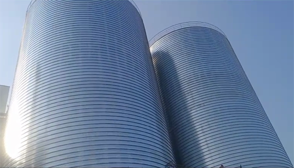 河北2座混凝土高架卷板仓